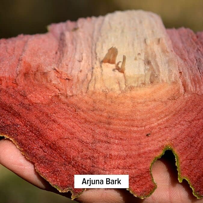 Banyan Botanicals Organic Arjuna Powder – 1 lb.