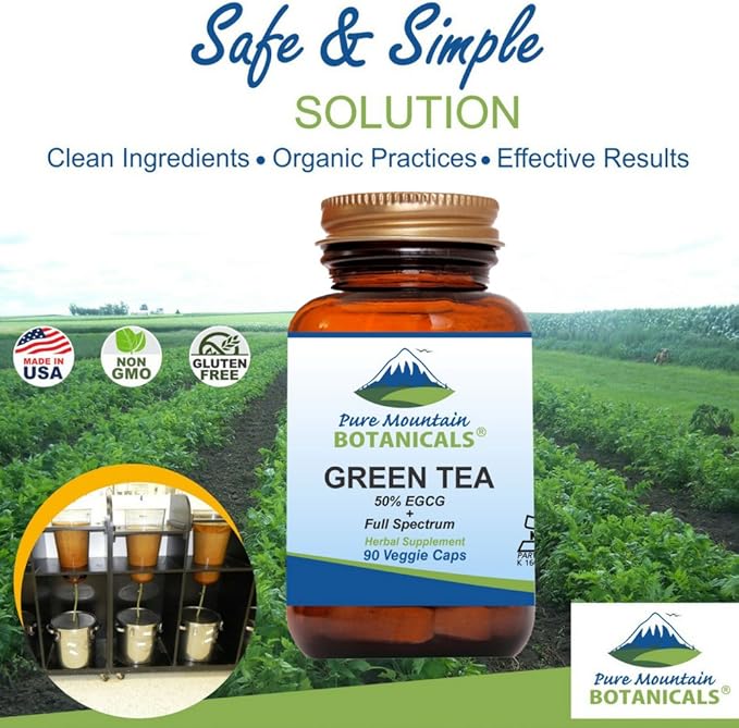 Green Tea Capsules 90 Kosher 450mg Organic