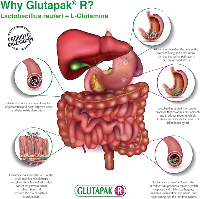R Probiotics with Glutamine and Lactobacillus 15g per 50 Packets