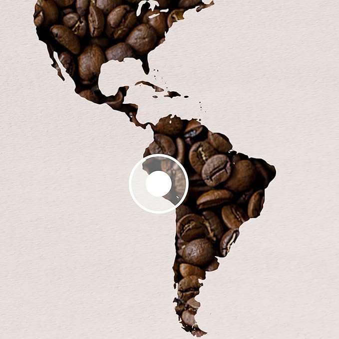 Lavazza ¡Tierra Organic Amazonia Whole Bean Coffee Medium Roast, Floral Notes, 10.5 Oz (Pack of 6) - Packaging May Vary
