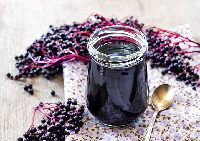 Food to Live Organic Black Elderberry 16 Pounds