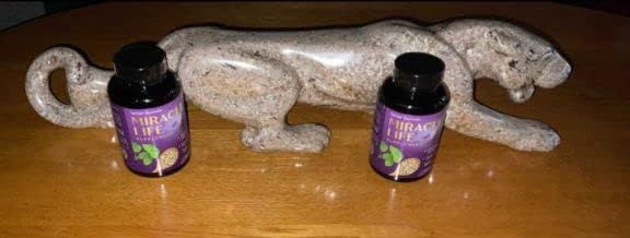 Ginger Olive Leaf Garlic+Dietary Supplement