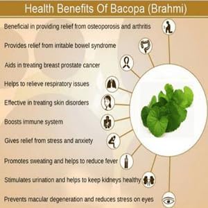 Brahmi Powder Bacopa Powder Centella Asiatica 5.5 oz (150 GMS)