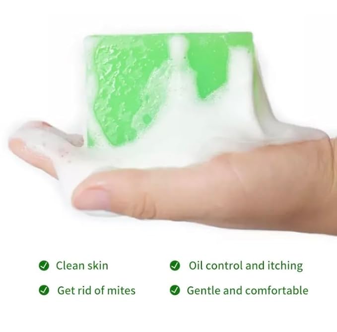 Soap de Aloe Vera Self- Care 1 Count 1)