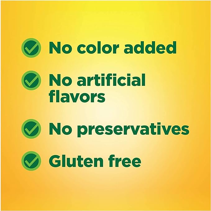 Nature Made B1 100 Mg 100 (5 Pack)