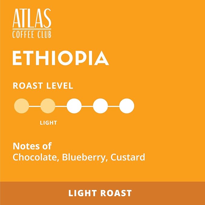 Atlas Coffee Club - Light Roast Coffee Pods - Ethiopia, 100% Recyclable, Premium Single Origin Coffee, 24ct Box