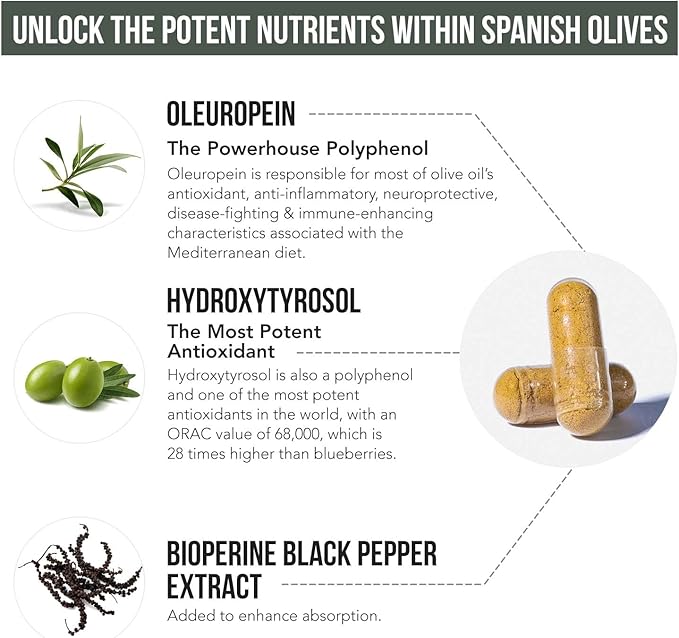 Total Olive® - Olive Leaf Extract (40% Oleuropein) (20% Hydroxytyrosol) (60 Count)