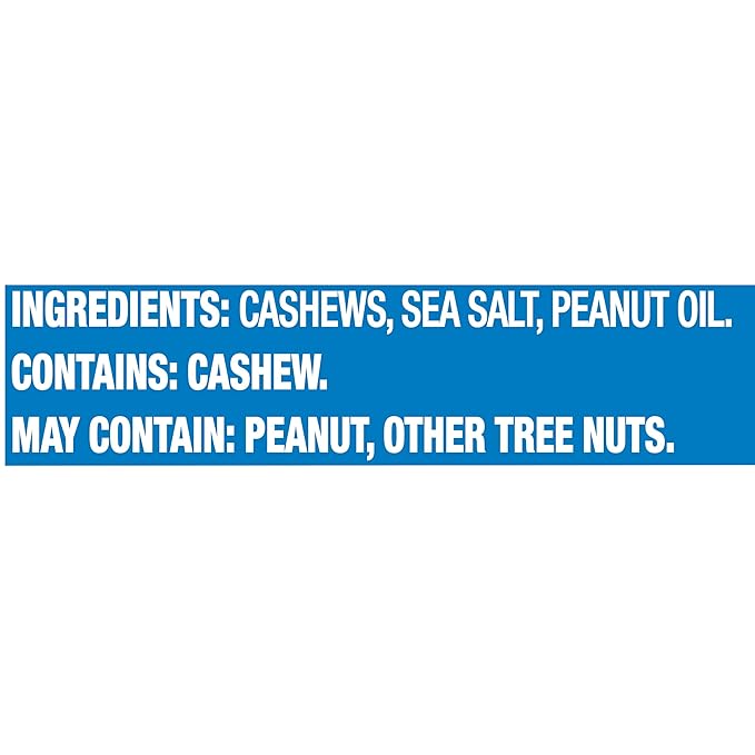 PLANTERS Salted Cashew Halves & Pieces, 8oz (1 (1 Canister)