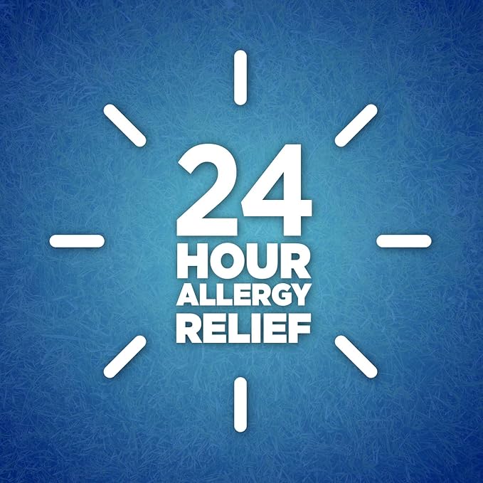 Berkley Jensen 24 Hour Non-Drowsy Allergy 10mg Loratadine 365 Count