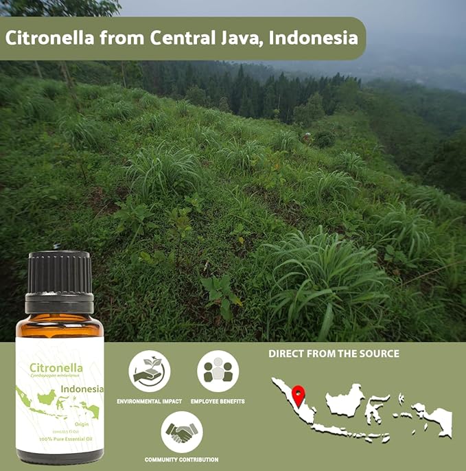 Citronella Essential Oil - Direct from Central Java, Indonesia - Pure Essential Oil for Diffusers and Aromatherapy | 100% Pure Therapeutic Grade (25LBS)