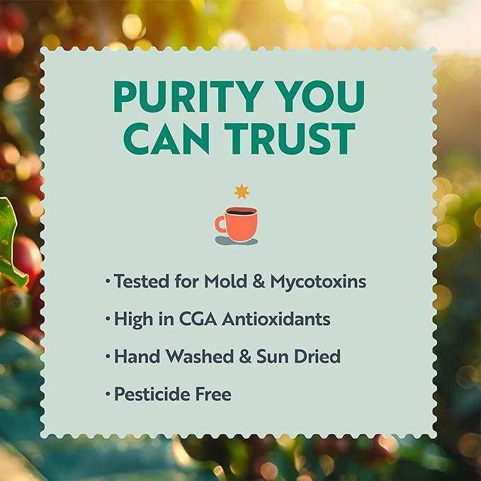 Clean Coffee Co. - Low Acid Medium-Dark Roast, Tested for Molds and Toxins, Papua New Guinea Blend, Notes of Milk Chocolate and Roasted Almonds (Whole Bean, 12 oz Bag)