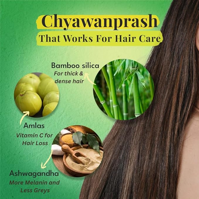 VEDA Premium Chyawanprash (Sugar Free) 8.8 Oz