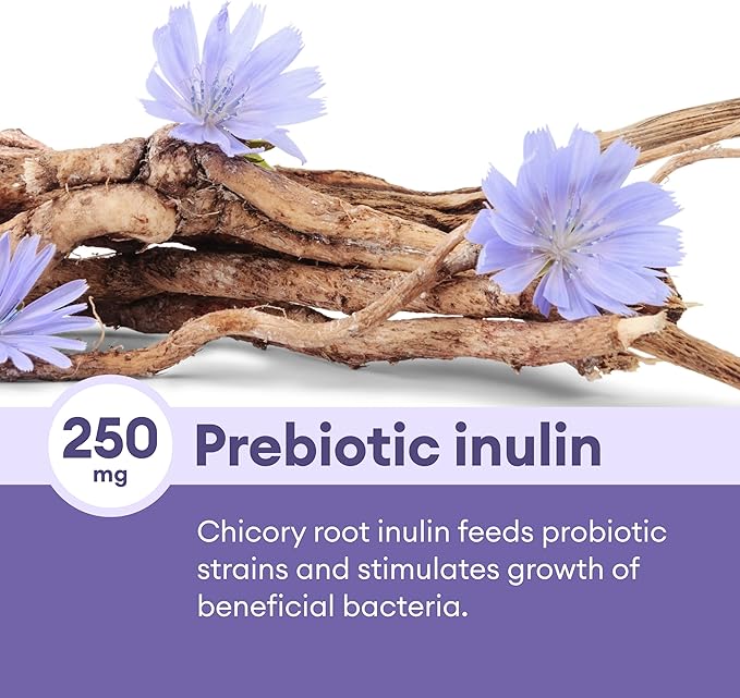 Physician's CHOICE Prebiotic-Probiotic