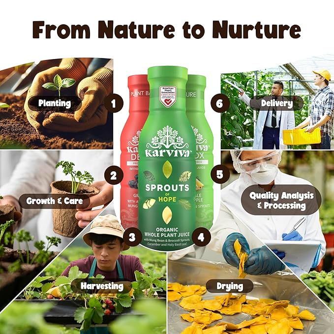 Karviva Organic Detox Juice Variety Pack – Ancient Remedies for Gentle Detox & Healthy Digestion, Low-Sugar Juice Cleanse with Sprouts, Electrolytes, Prebiotics, Antioxidants (6 Bottles, 12 oz Each)