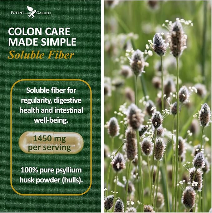 Psyllium Husk Capsules All Natural & 240 Caps
