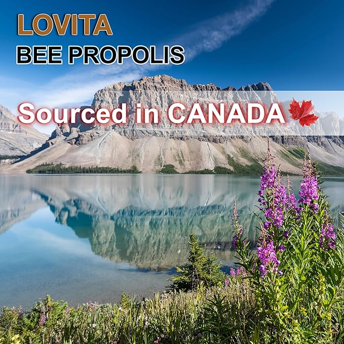 Bee Propolis 500 mg Liquid Extract 5:1 Propolis |1 Fl